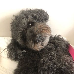 Meet your Posher, Jordyn